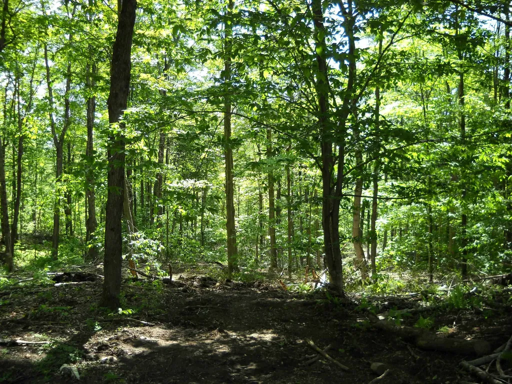 00 Mciver Road Vershire VT 05079