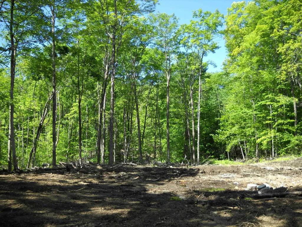 00 Mciver Road Vershire VT 05079
