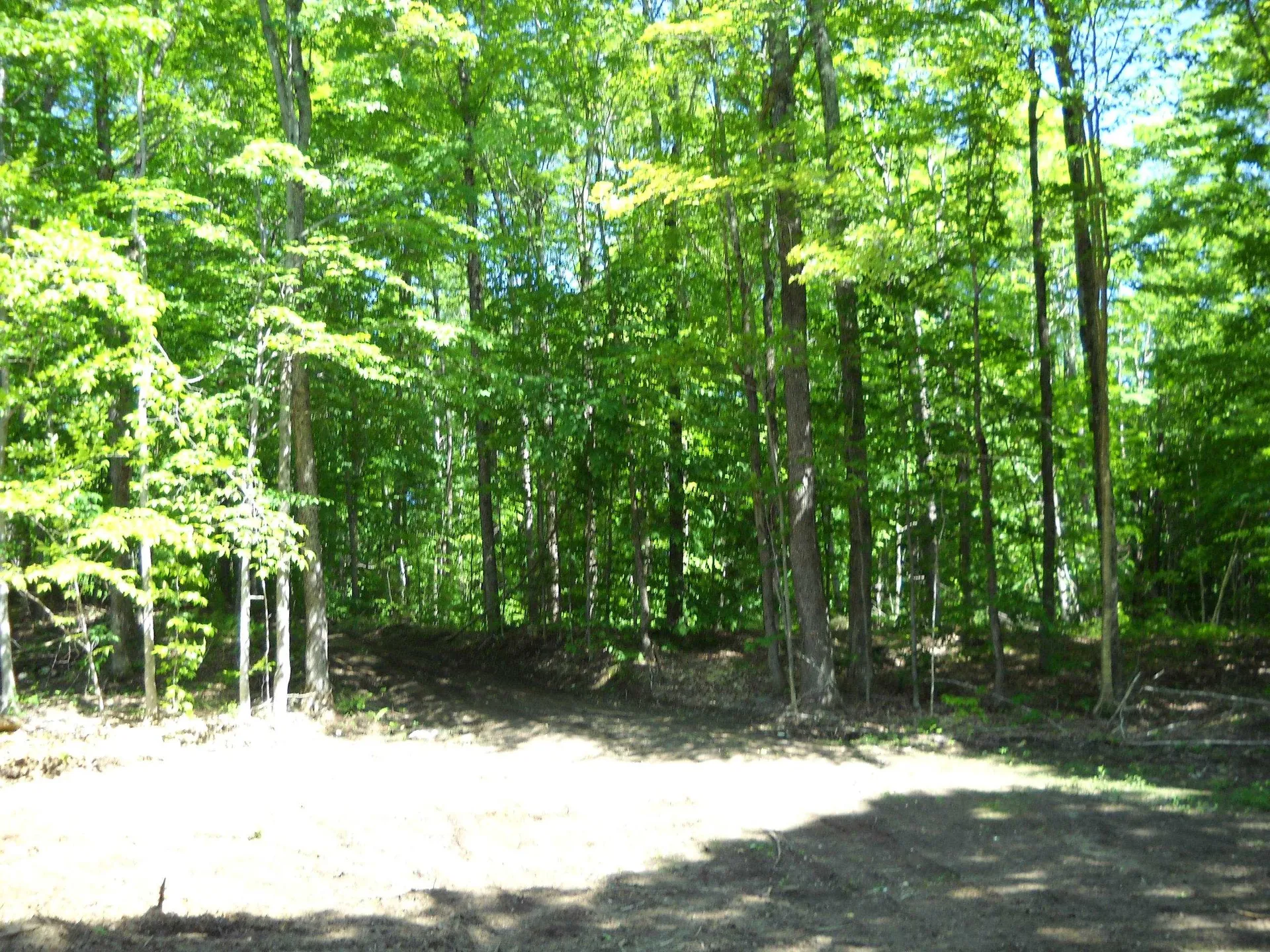 00 Mciver Road Vershire VT 05079