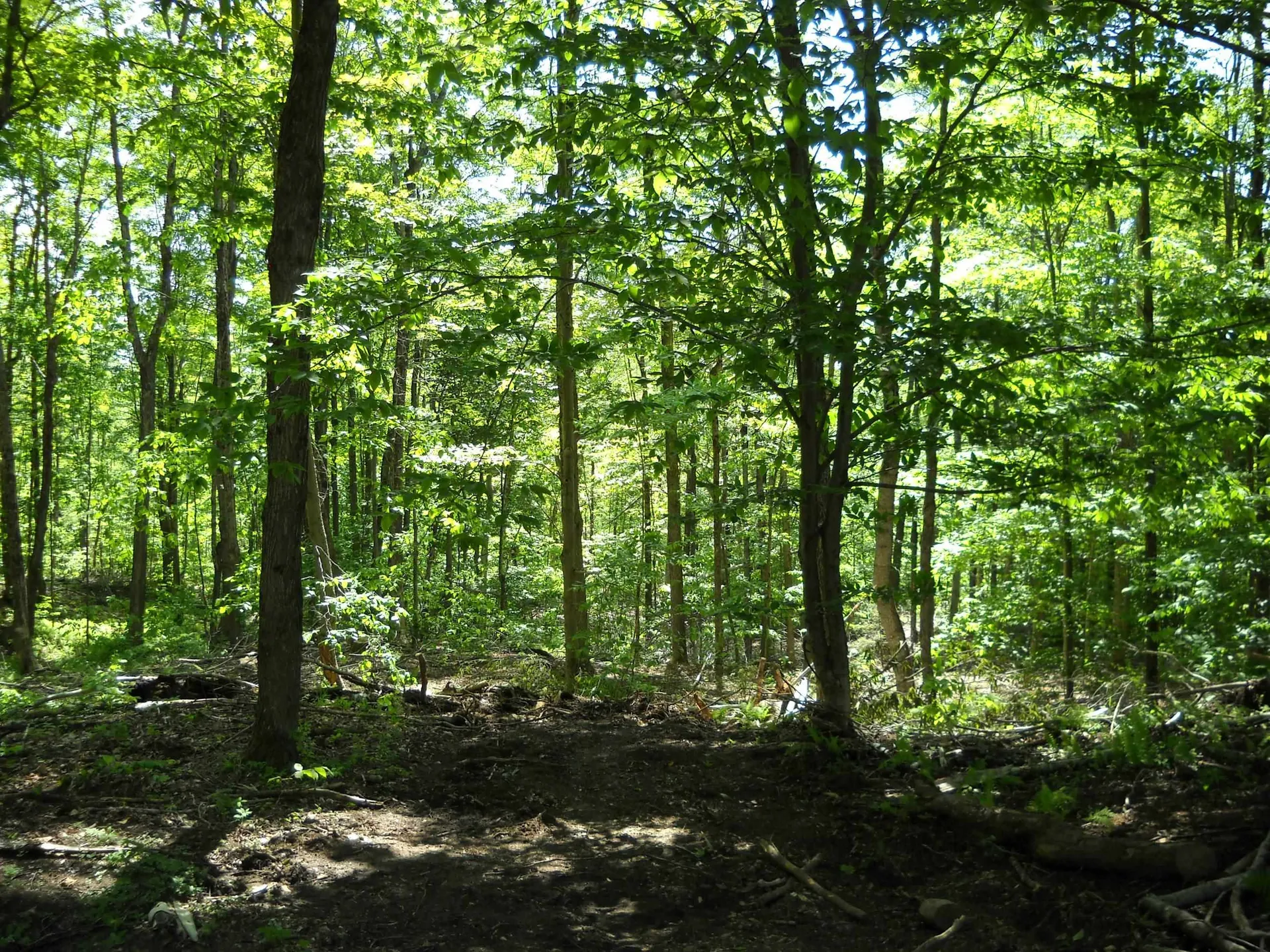 00 Mciver Road Vershire VT 05079