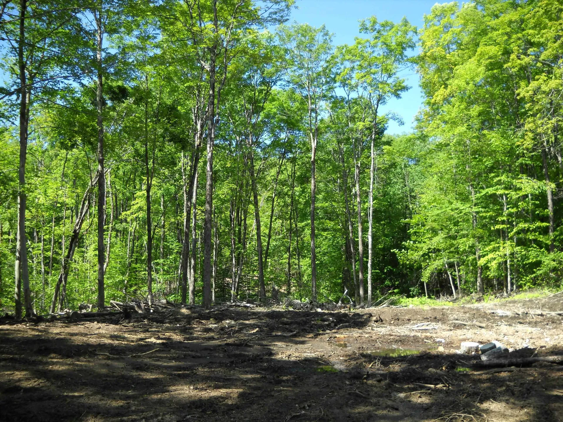 00 Mciver Road Vershire VT 05079