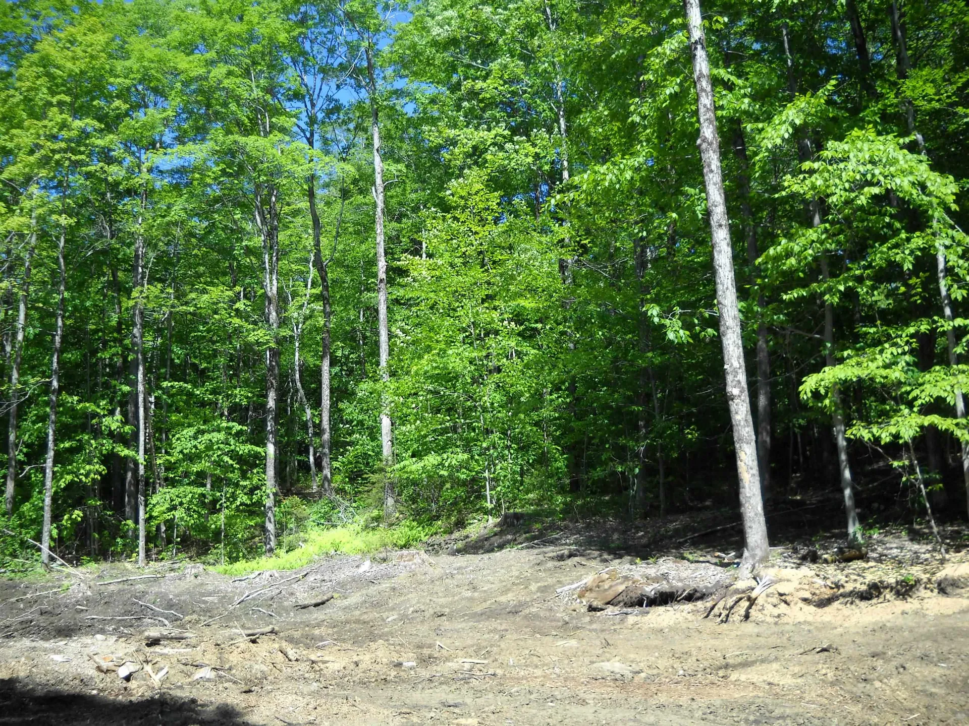 00 Mciver Road Vershire VT 05079