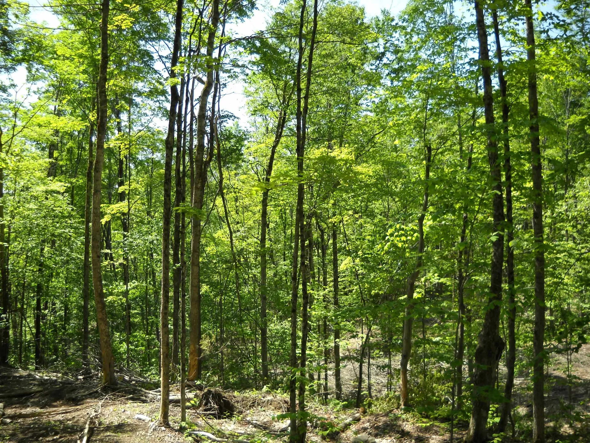 00 Mciver Road Vershire VT 05079