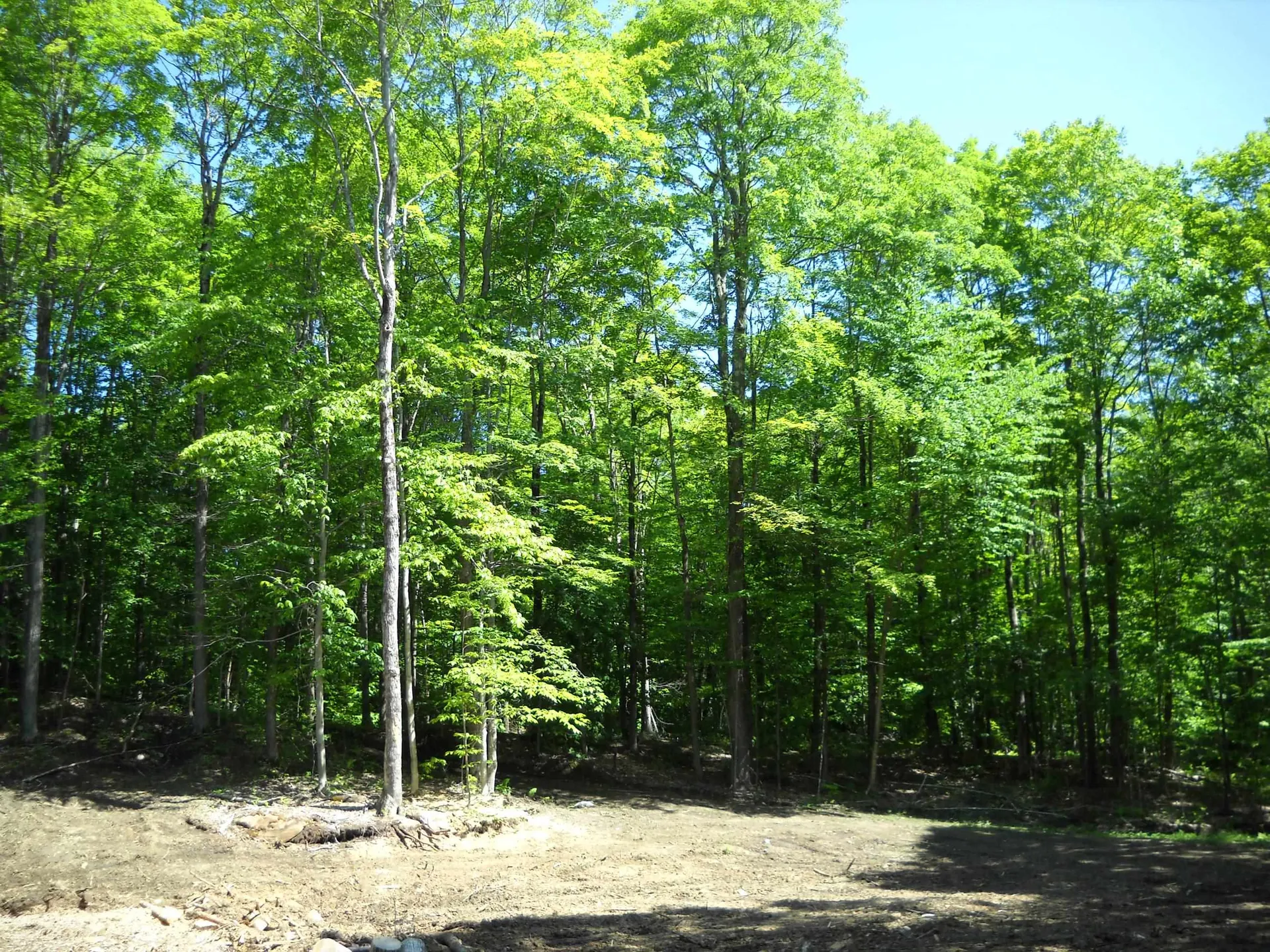 00 Mciver Road Vershire VT 05079
