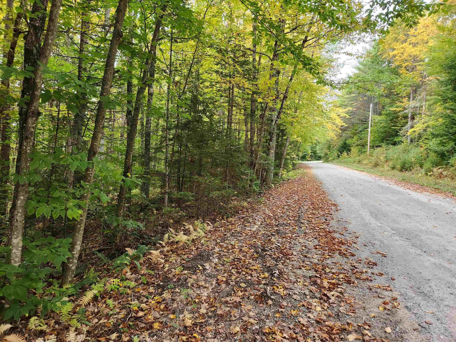 177 O'gorman Road Newbury VT 05085