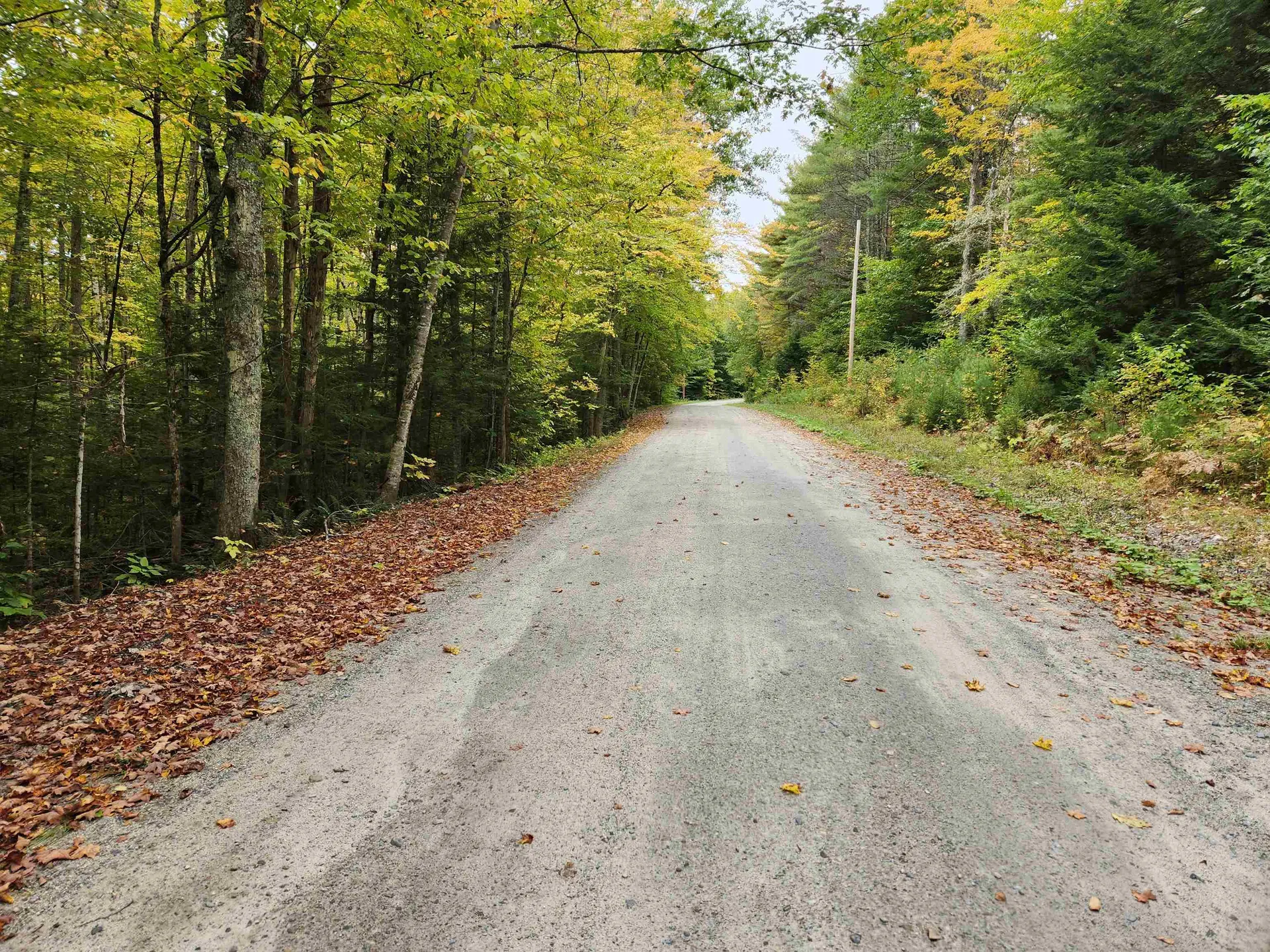177 O'gorman Road Newbury VT 05085