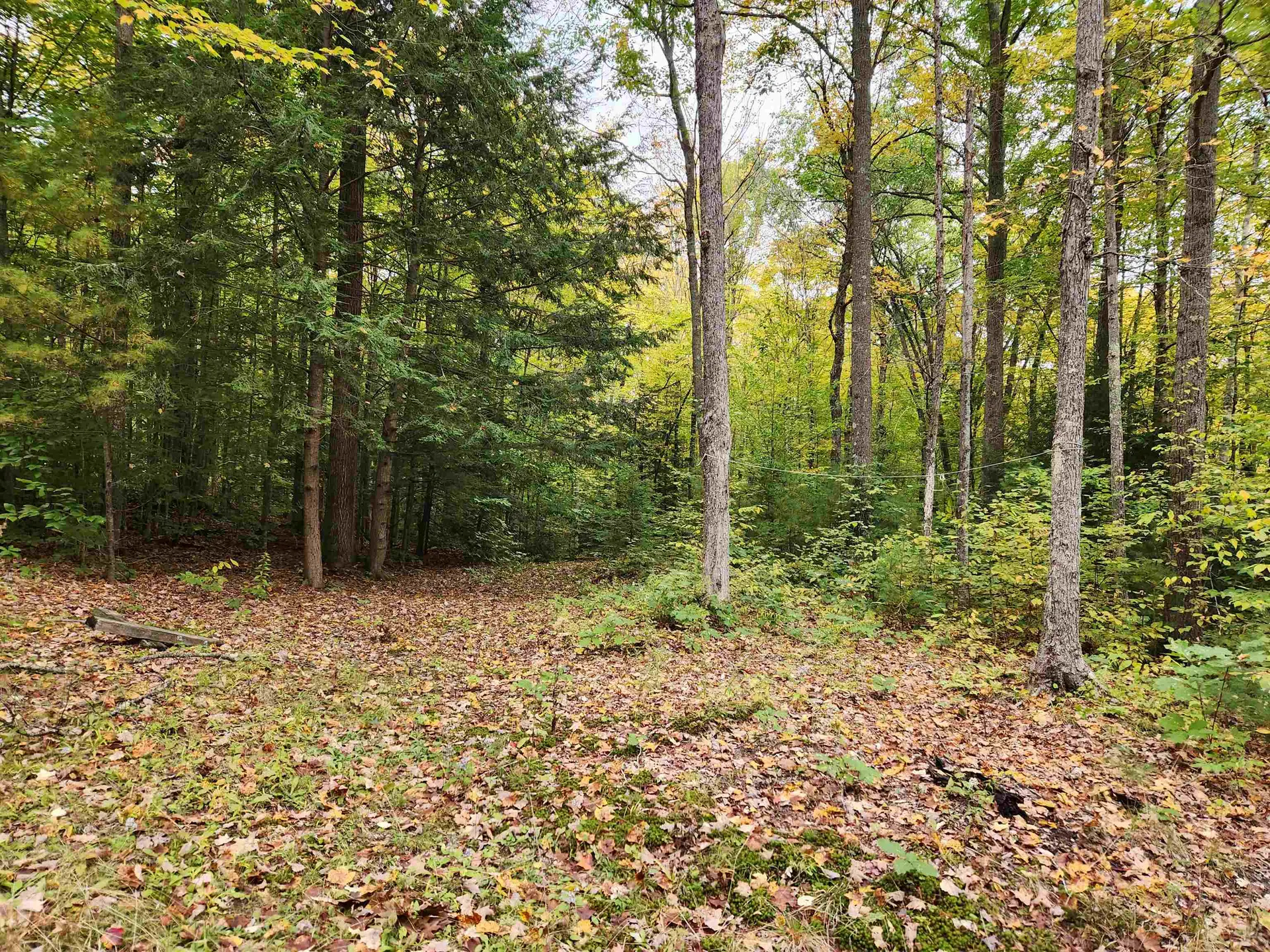 177 O'gorman Road Newbury VT 05085