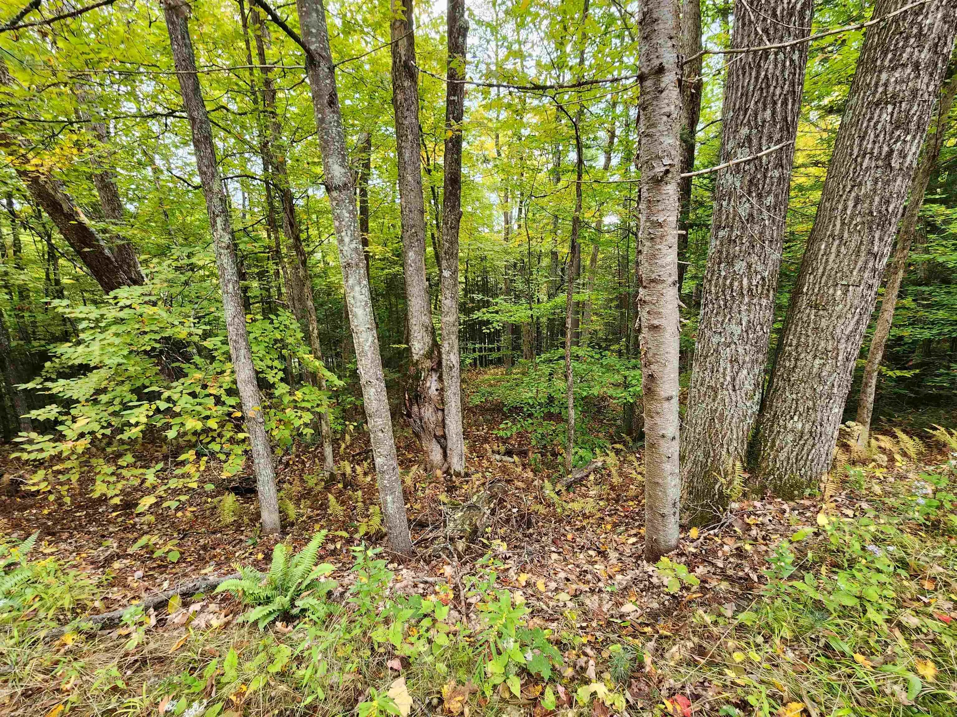 177 O'gorman Road Newbury VT 05085
