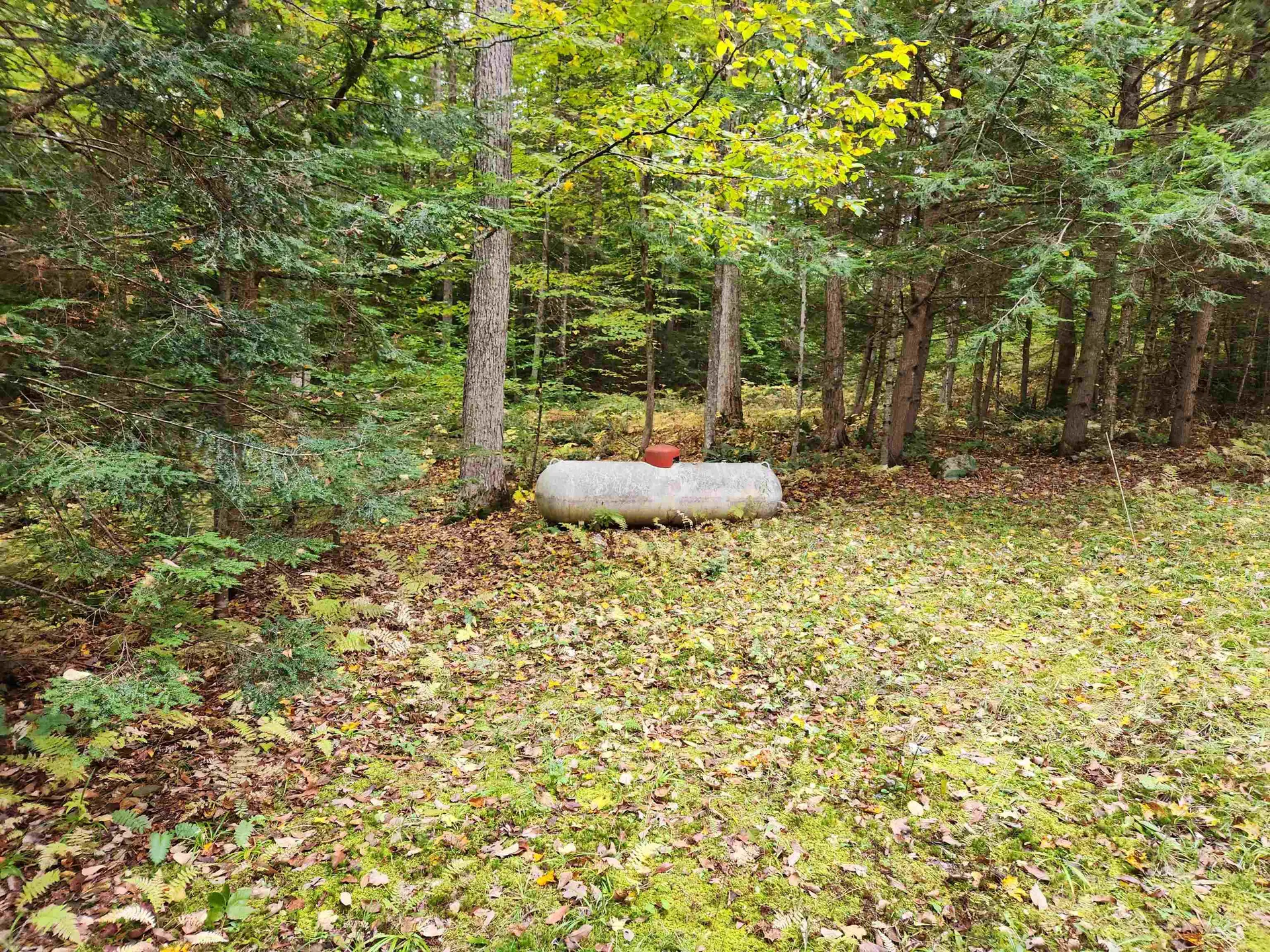 177 O'gorman Road Newbury VT 05085