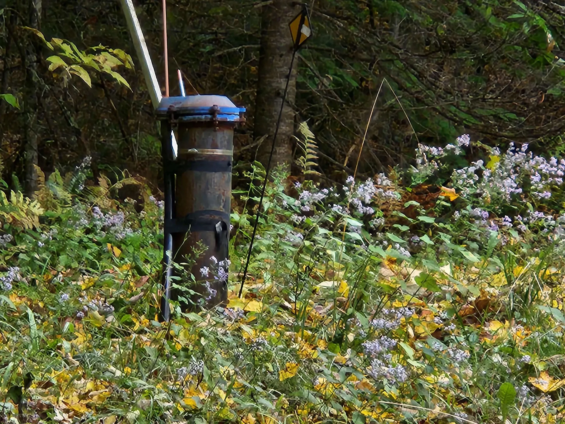 177 O'gorman Road Newbury VT 05085