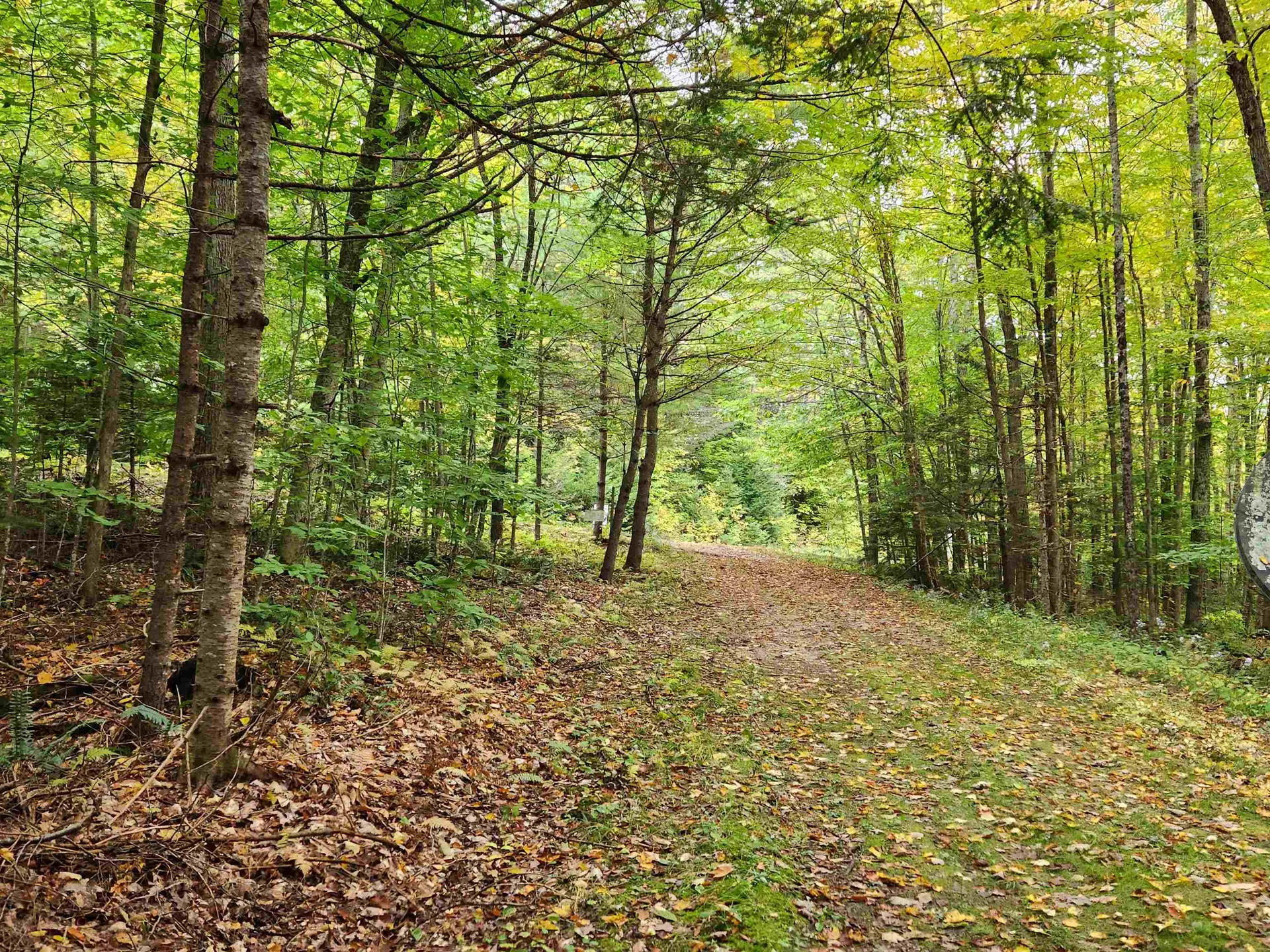 177 O'gorman Road Newbury VT 05085