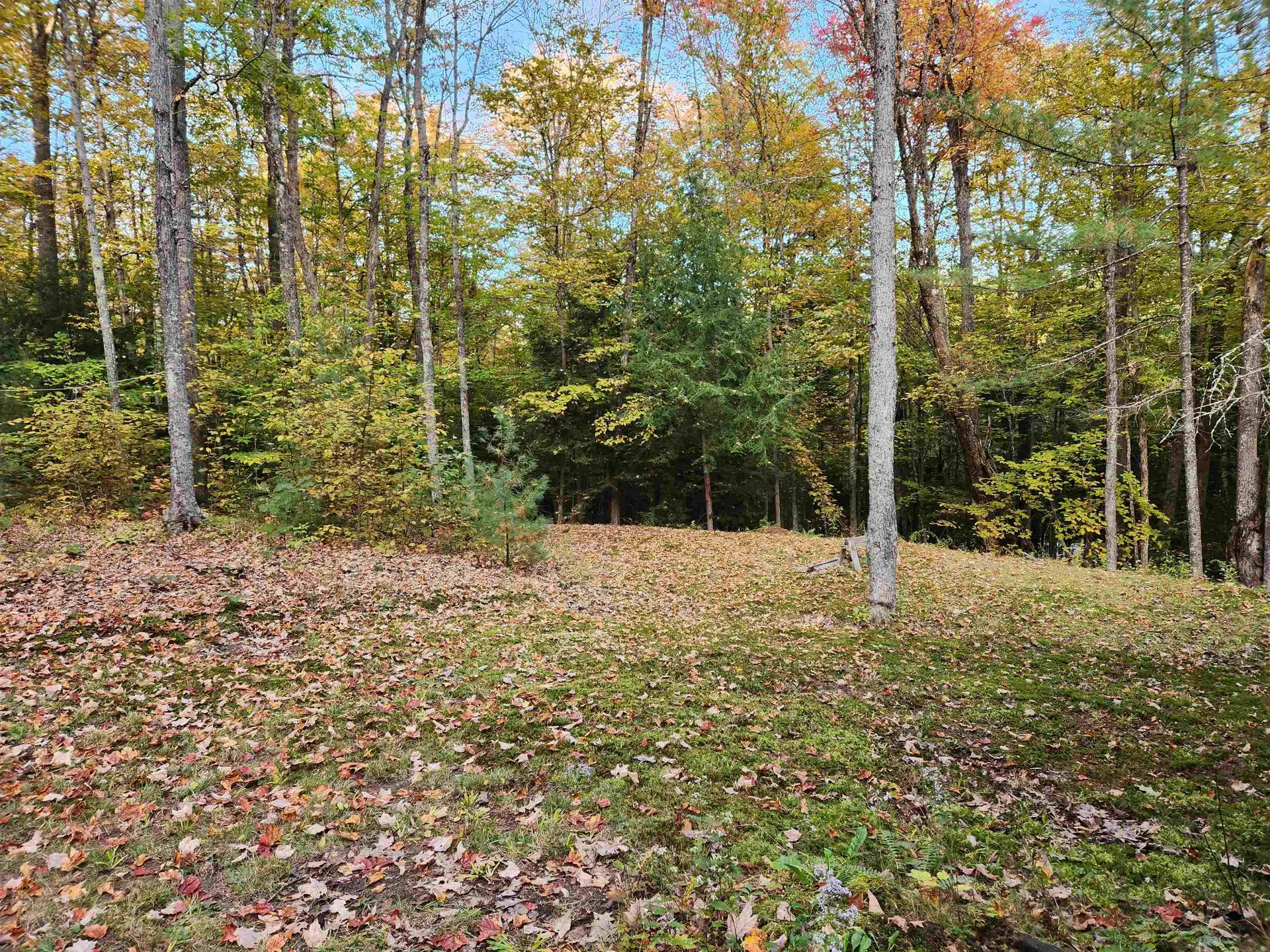 177 O'gorman Road Newbury VT 05085