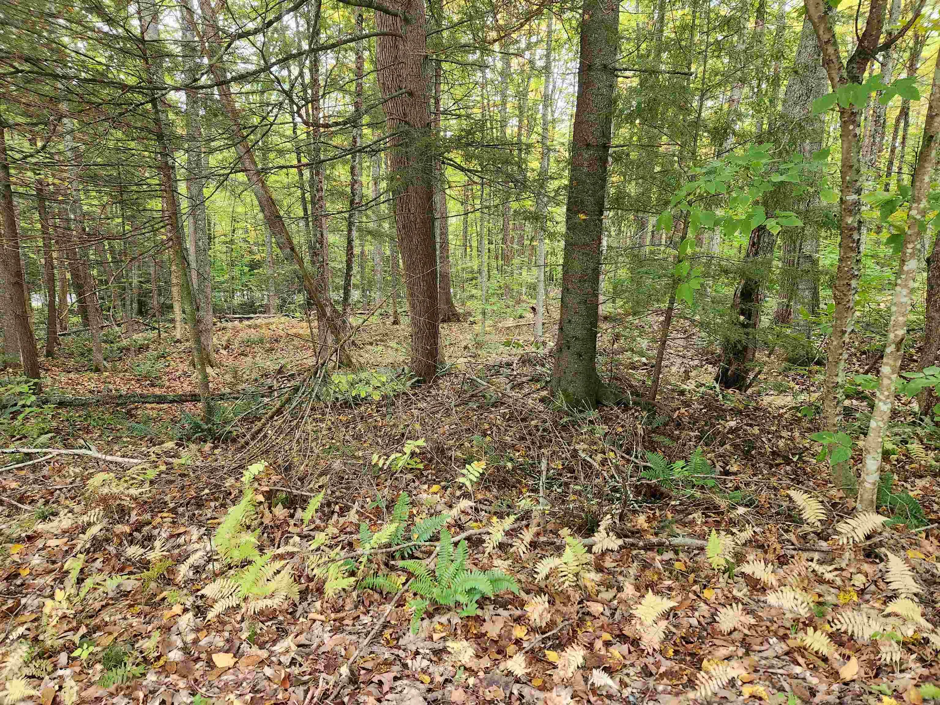 177 O'gorman Road Newbury VT 05085