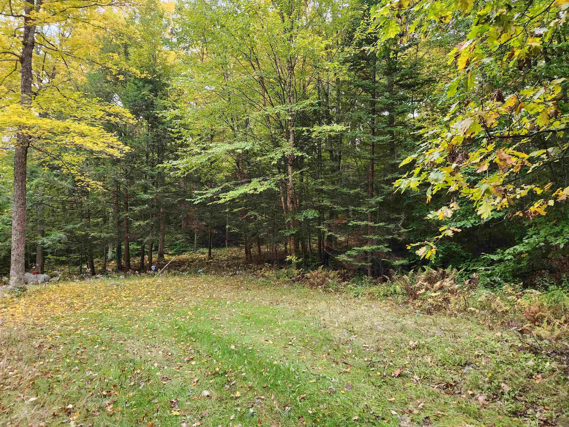 177 O'gorman Road Newbury VT 05085