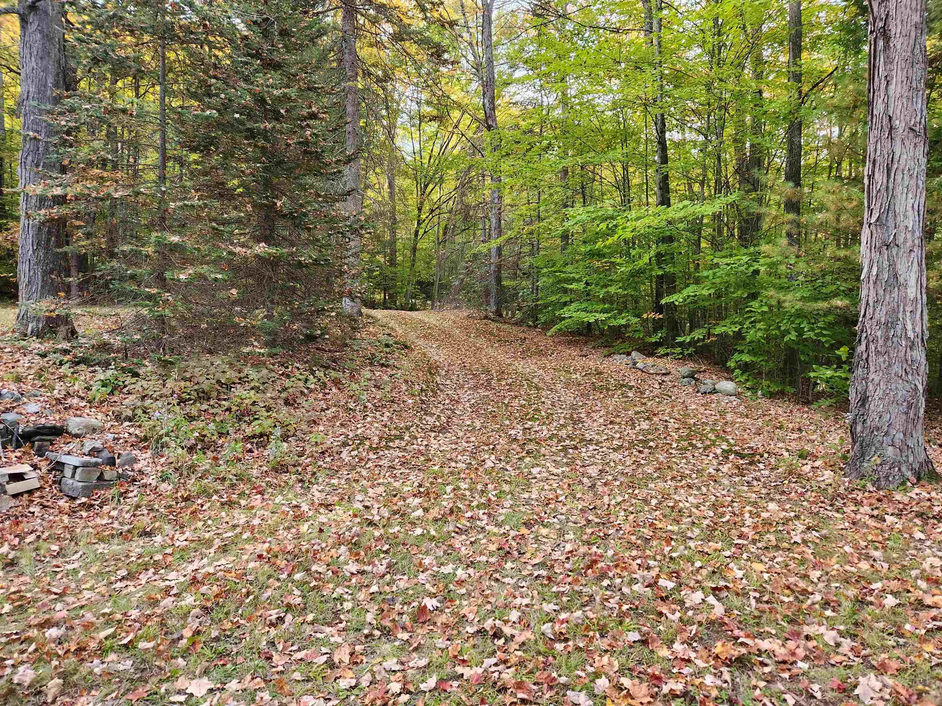 177 O'gorman Road Newbury VT 05085