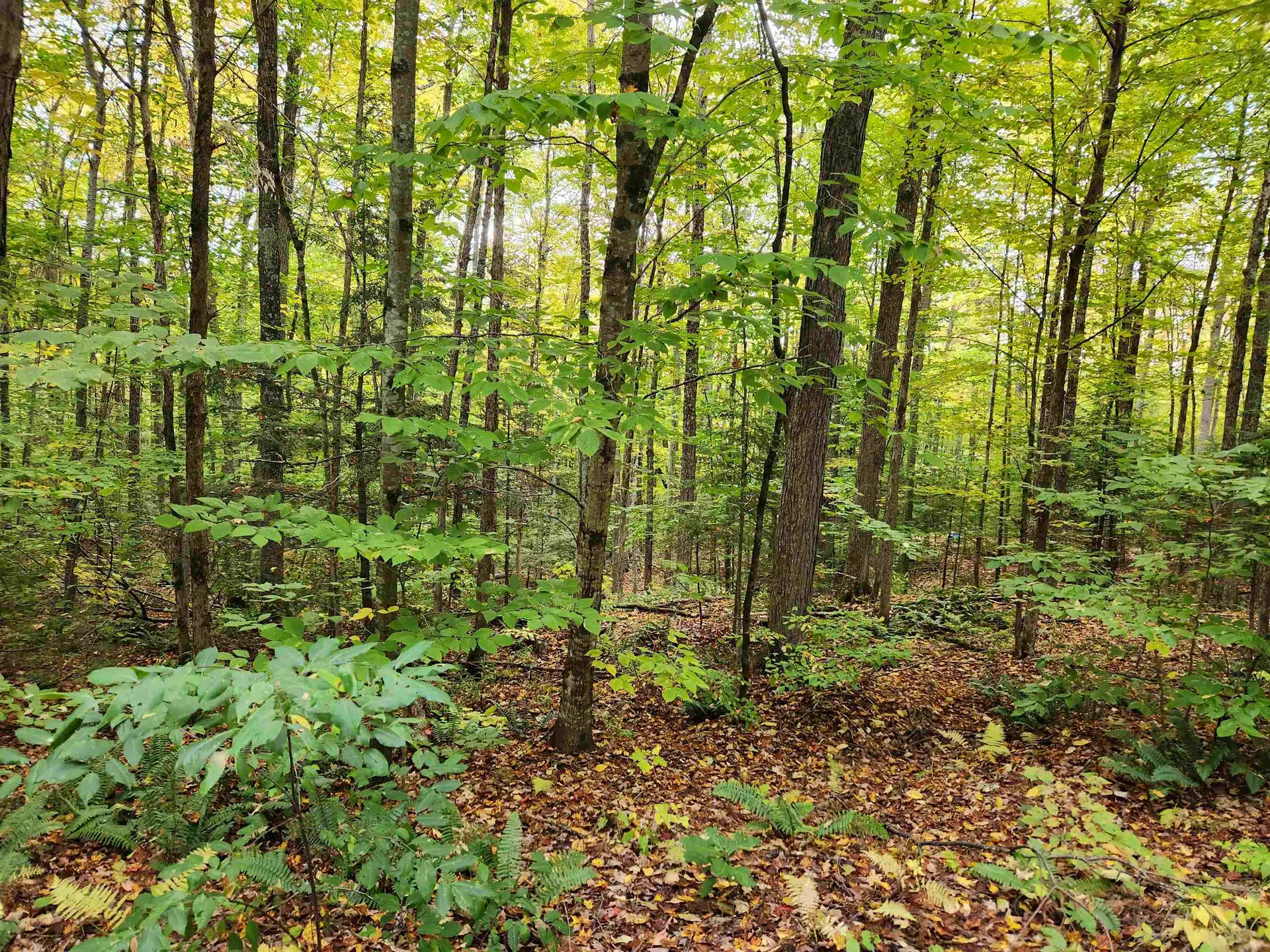 177 O'gorman Road Newbury VT 05085