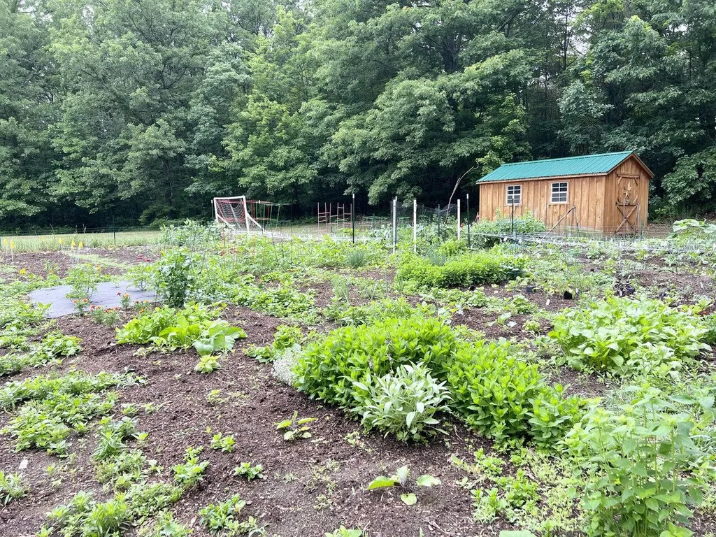 256 Oak Circle Colchester VT 05446
