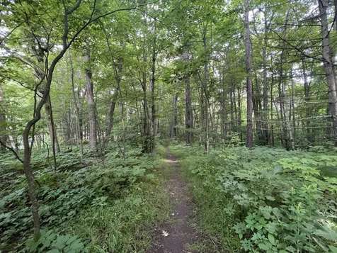 256 Oak Circle Colchester VT 05446