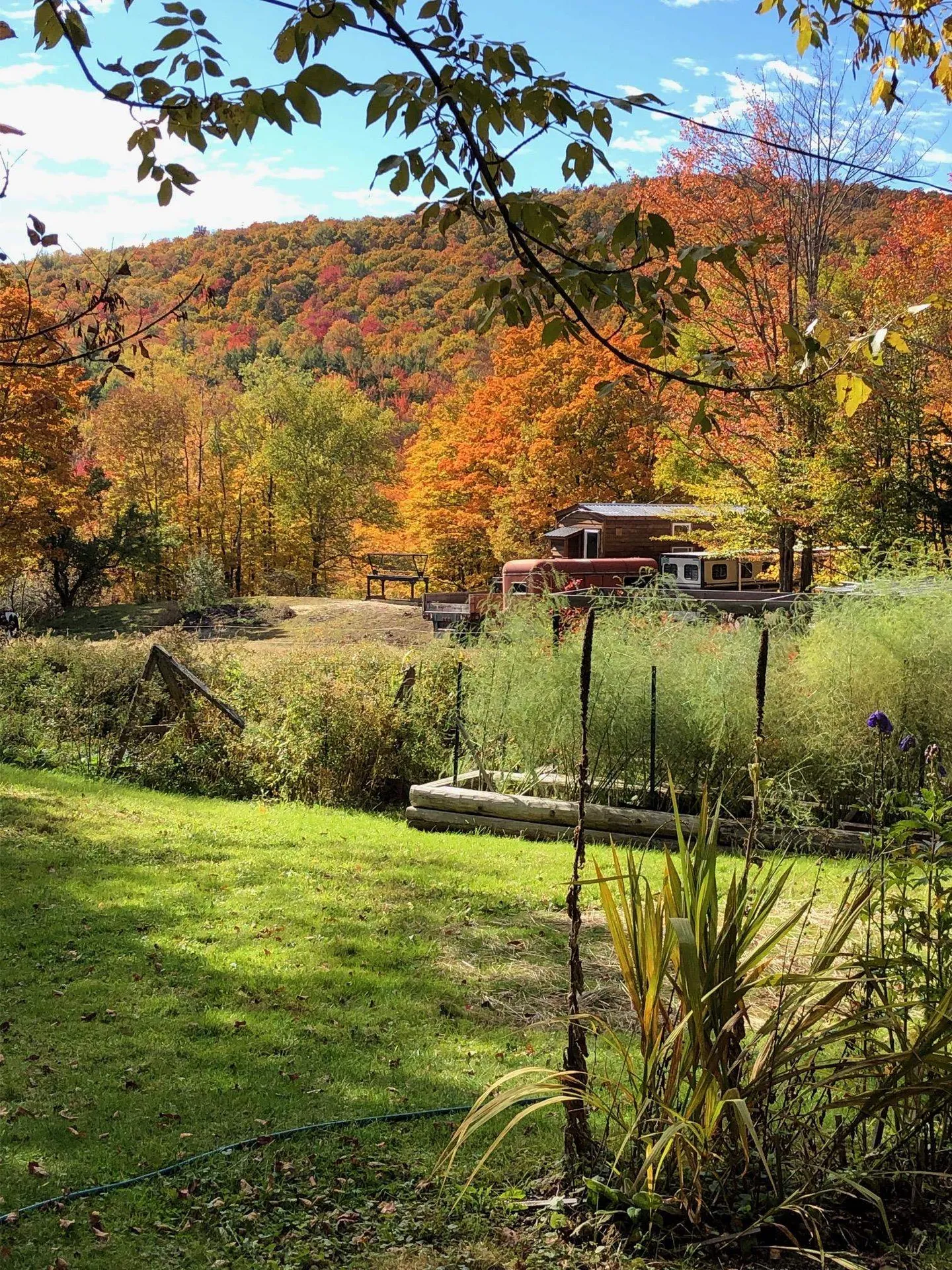 519 Hampshire Hill Road Worcester VT 05682