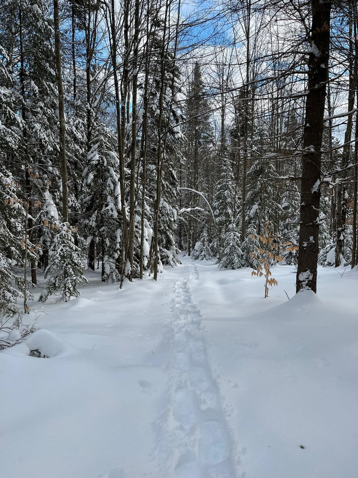 519 Hampshire Hill Road Worcester VT 05682