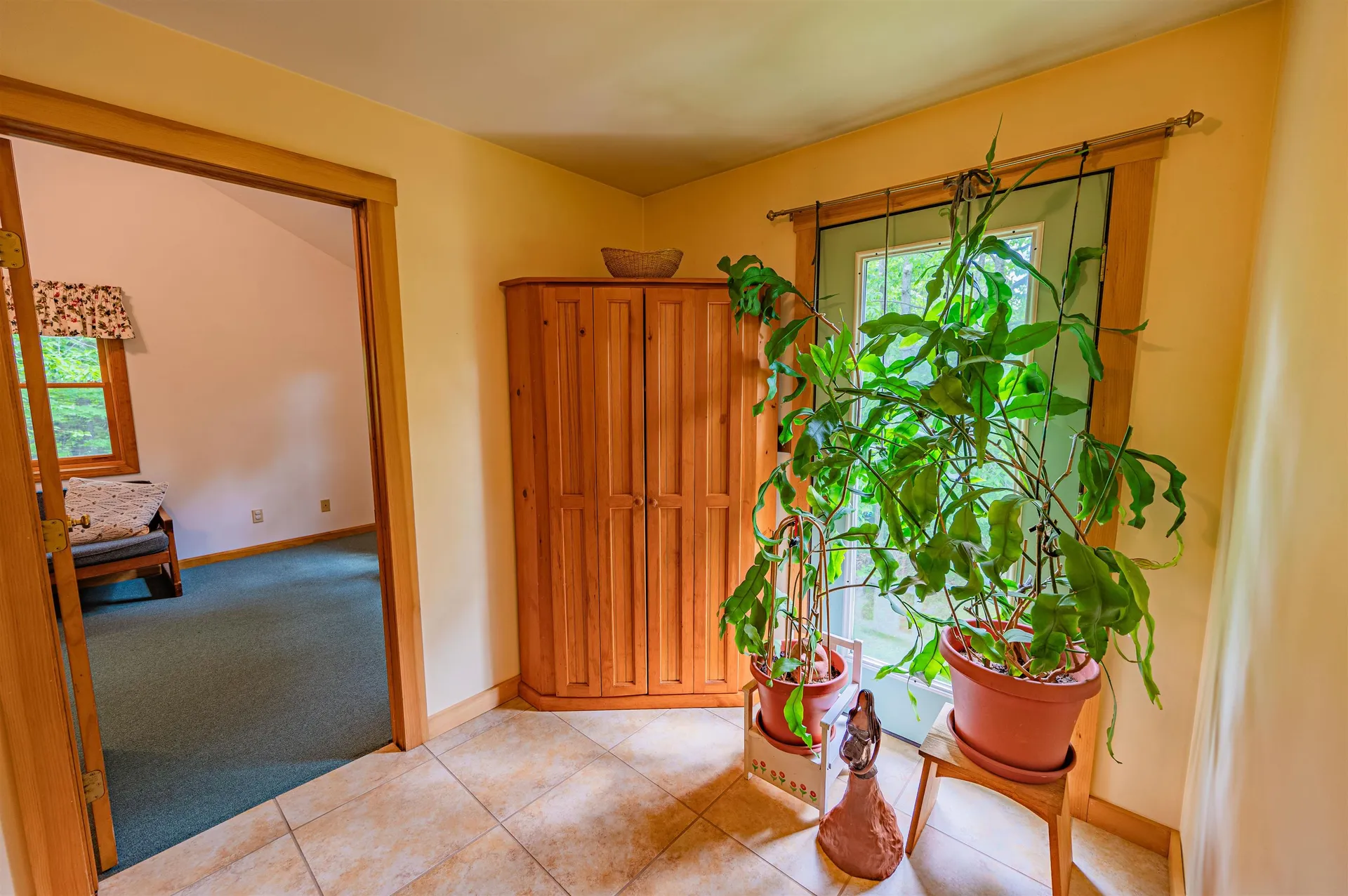 519 Hampshire Hill Road Worcester VT 05682