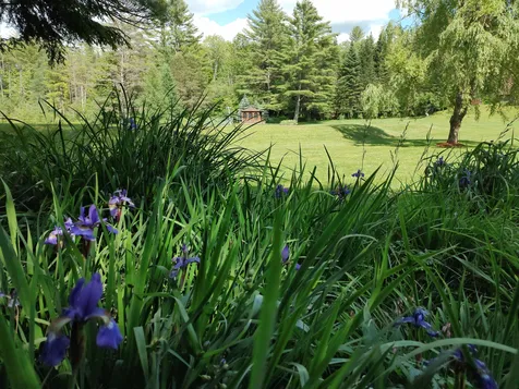 2534 Fish Hill Road Randolph VT 05060