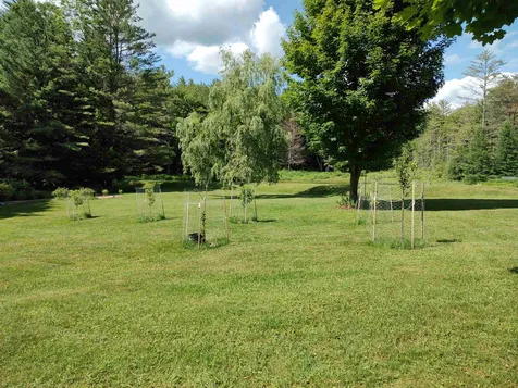 2534 Fish Hill Road Randolph VT 05060