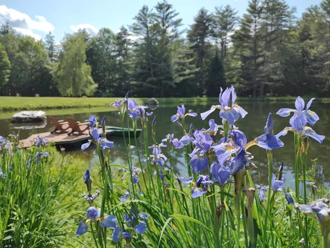 2534 Fish Hill Road Randolph VT 05060