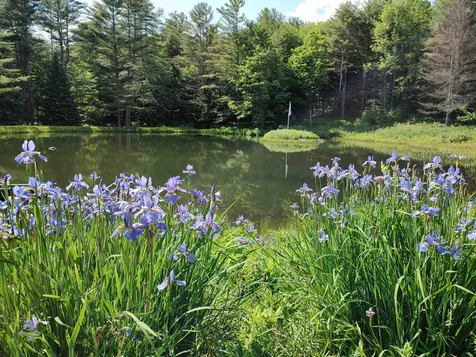 2534 Fish Hill Road Randolph VT 05060