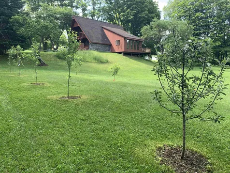 2534 Fish Hill Road Randolph VT 05060