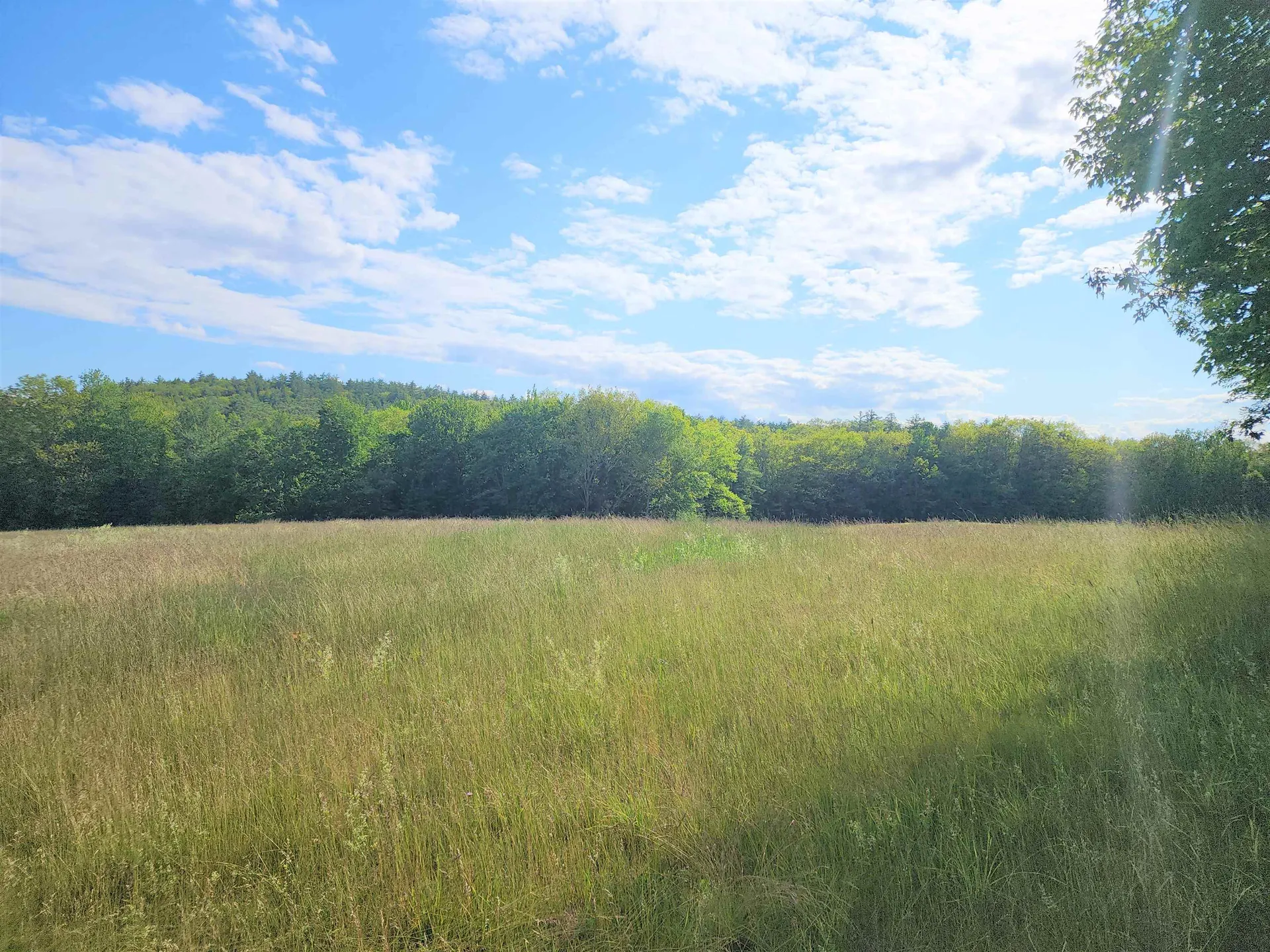0 Route 10 Piermont NH 03779
