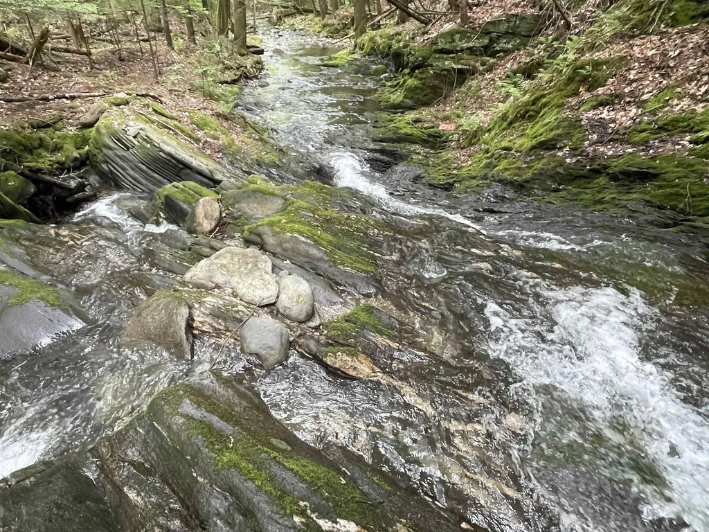 1818 German Flats Road Fayston VT 05673