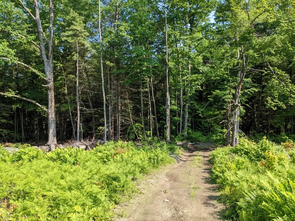 0 Purcell And Fullam Pond Road Winchester NH 03470