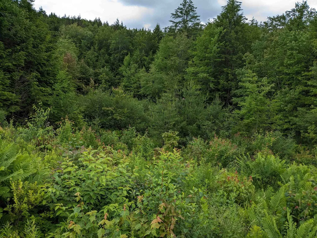 0 Purcell And Fullam Pond Road Winchester NH 03470