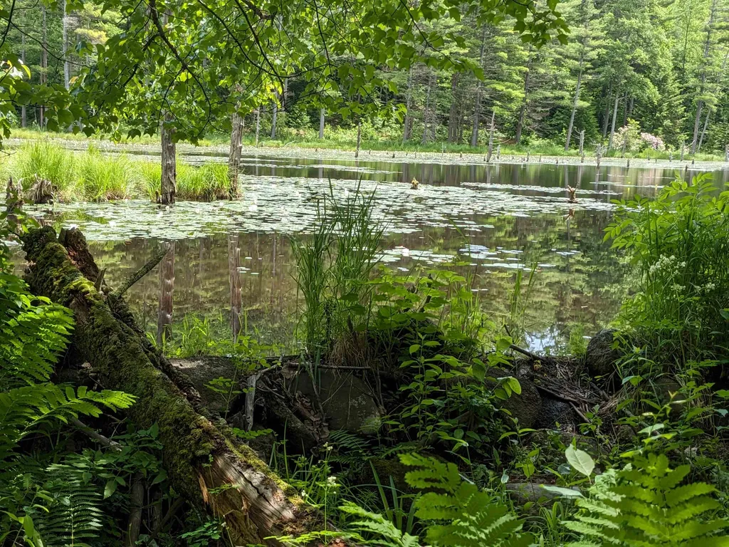 0 Purcell And Fullam Pond Road Winchester NH 03470