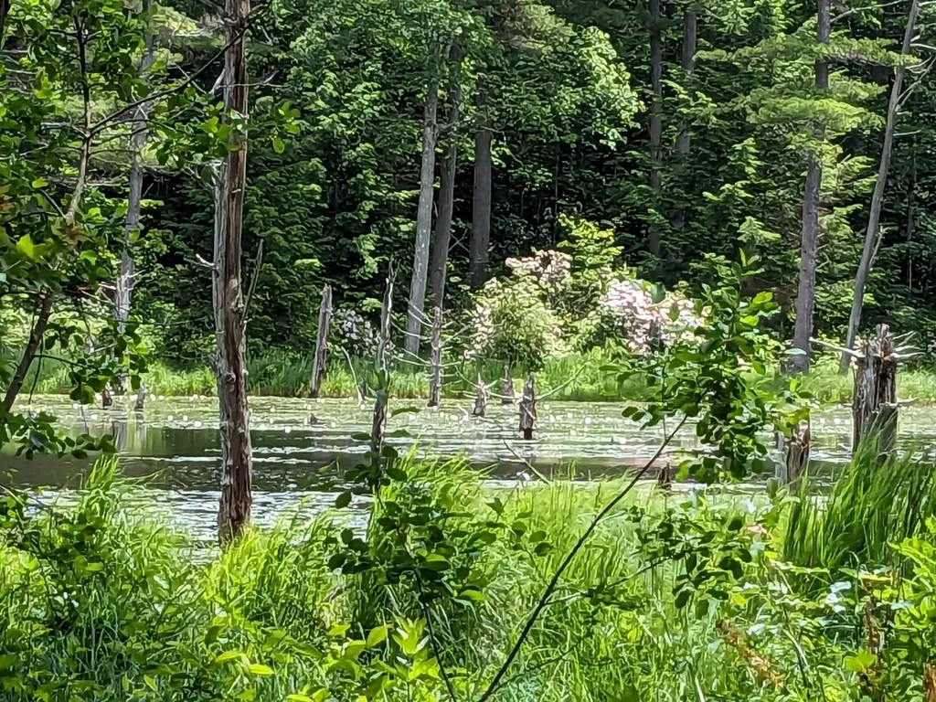 0 Purcell And Fullam Pond Road Winchester NH 03470