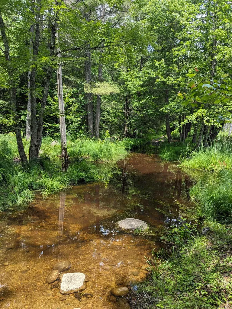 0 Purcell And Fullam Pond Road Winchester NH 03470