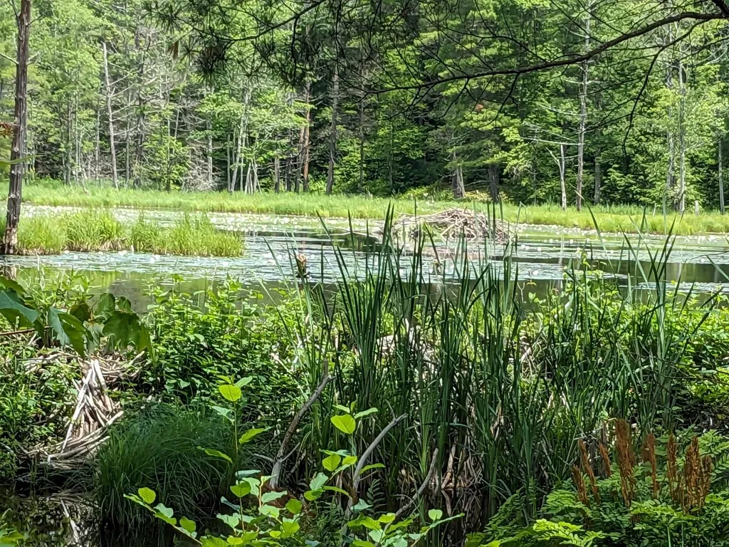0 Purcell And Fullam Pond Road Winchester NH 03470
