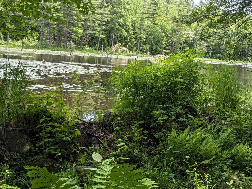 0 Purcell And Fullam Pond Road Winchester NH 03470