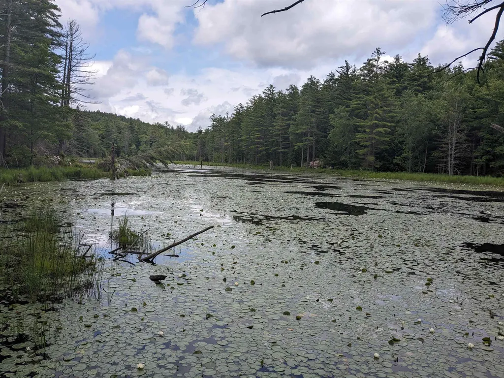 0 Purcell And Fullam Pond Road Winchester NH 03470