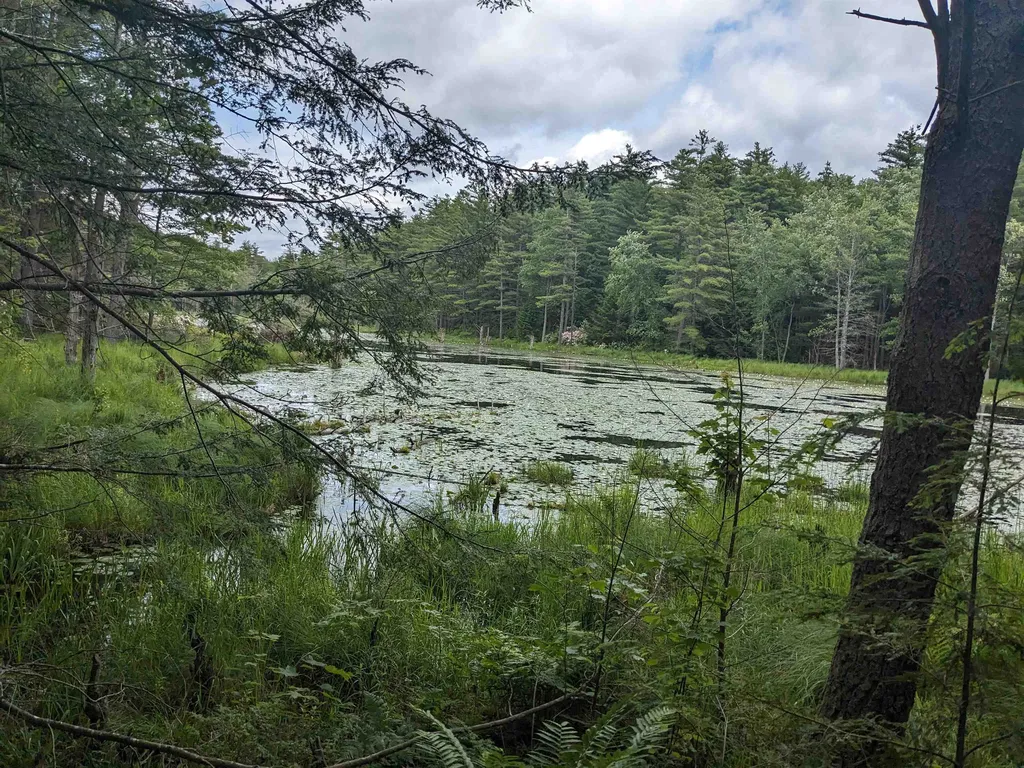 0 Purcell And Fullam Pond Road Winchester NH 03470