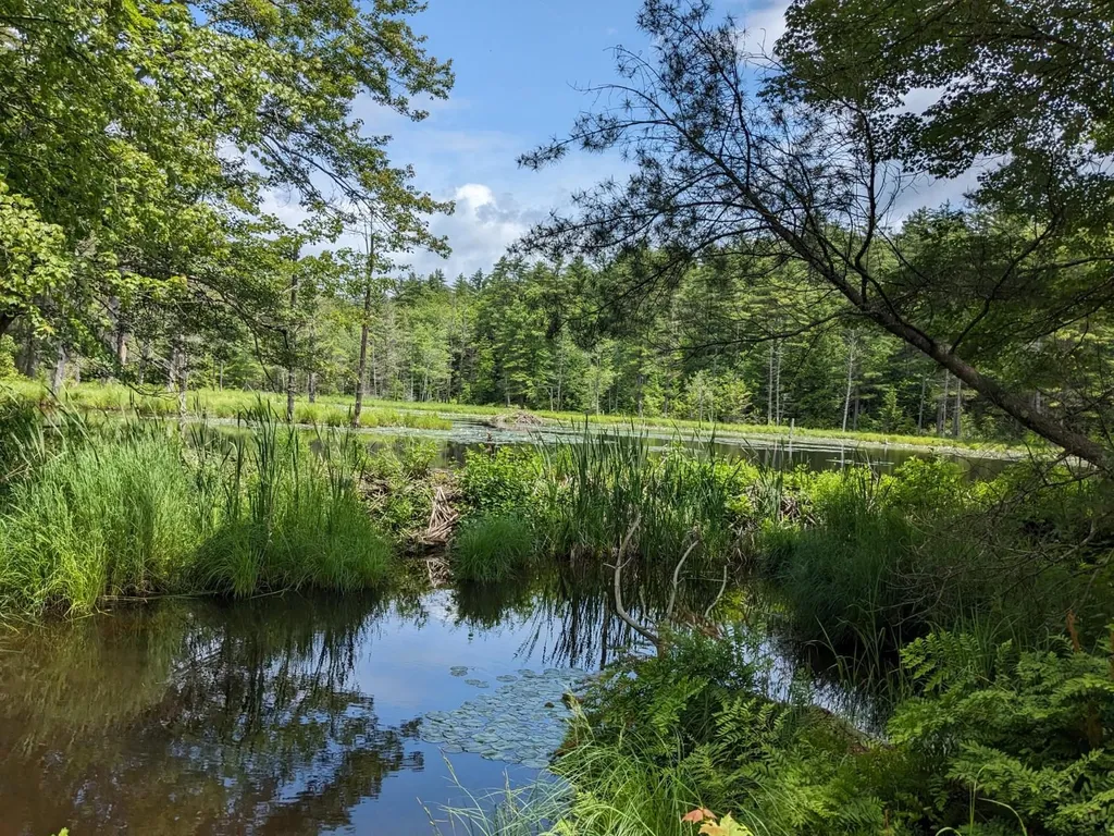 0 Purcell And Fullam Pond Road Winchester NH 03470