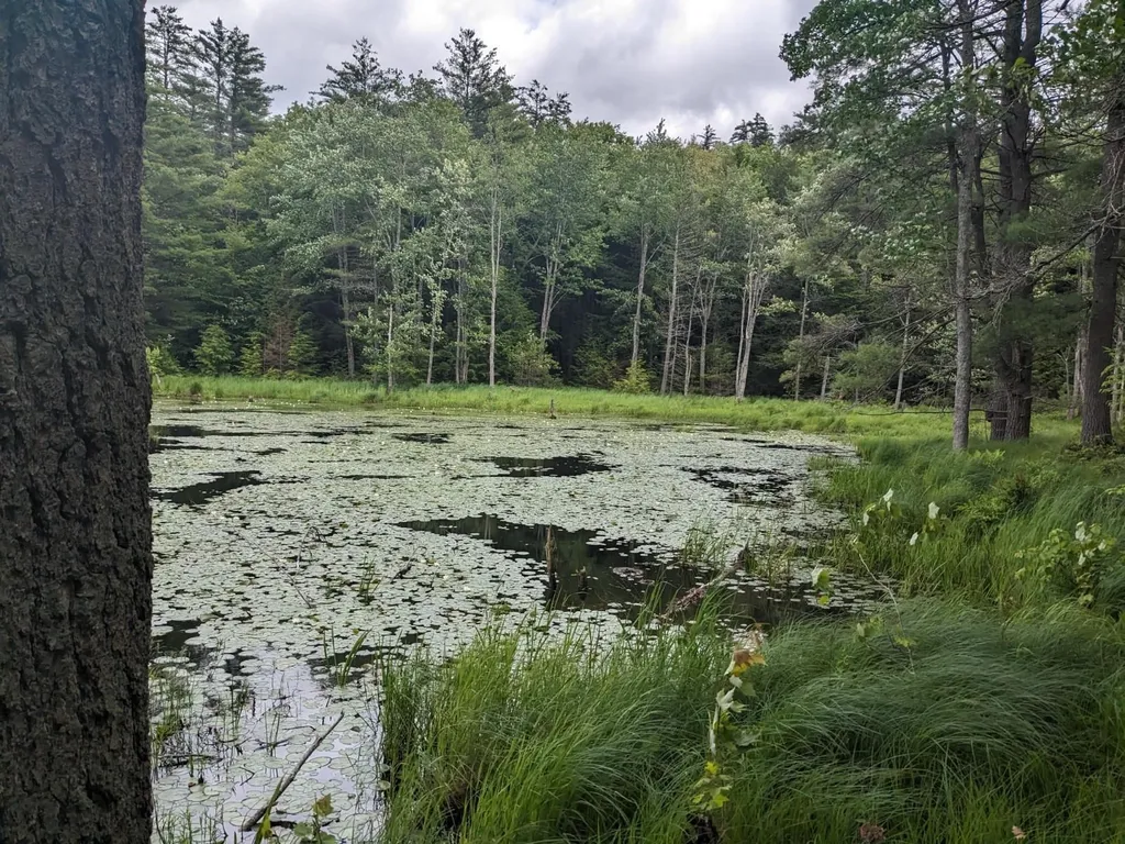 0 Purcell And Fullam Pond Road Winchester NH 03470