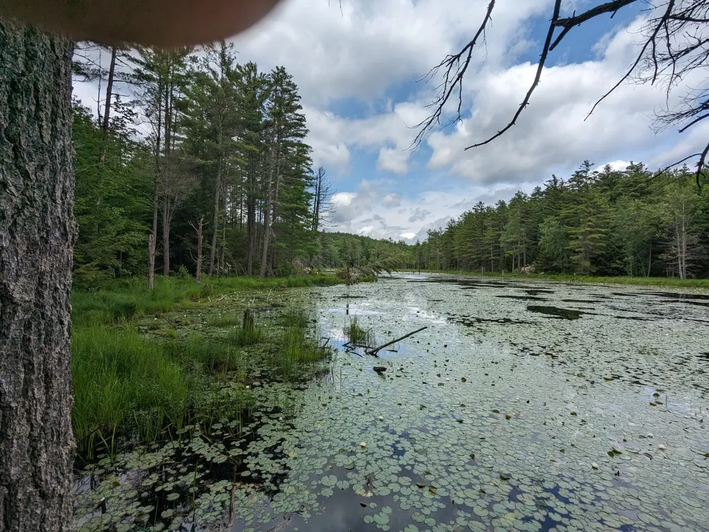 0 Purcell And Fullam Pond Road Winchester NH 03470