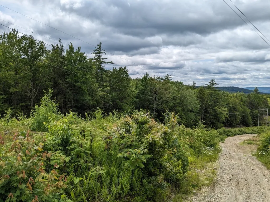 0 Purcell And Fullam Pond Road Winchester NH 03470