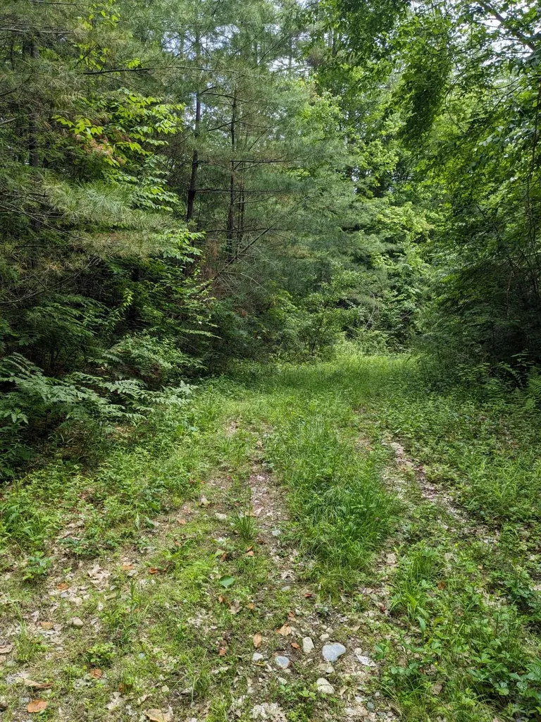 0 Purcell And Fullam Pond Road Winchester NH 03470