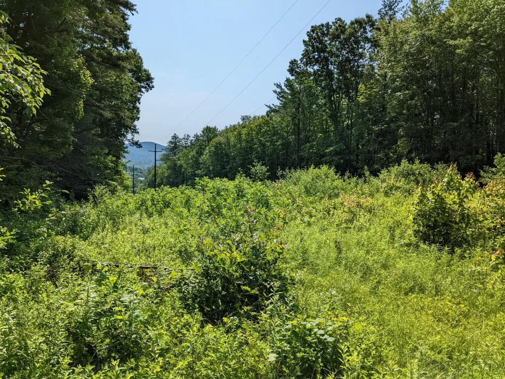 0 Purcell And Fullam Pond Road Winchester NH 03470