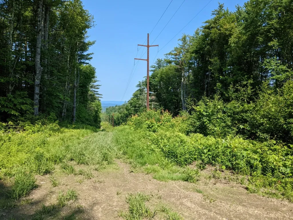 0 Purcell And Fullam Pond Road Winchester NH 03470
