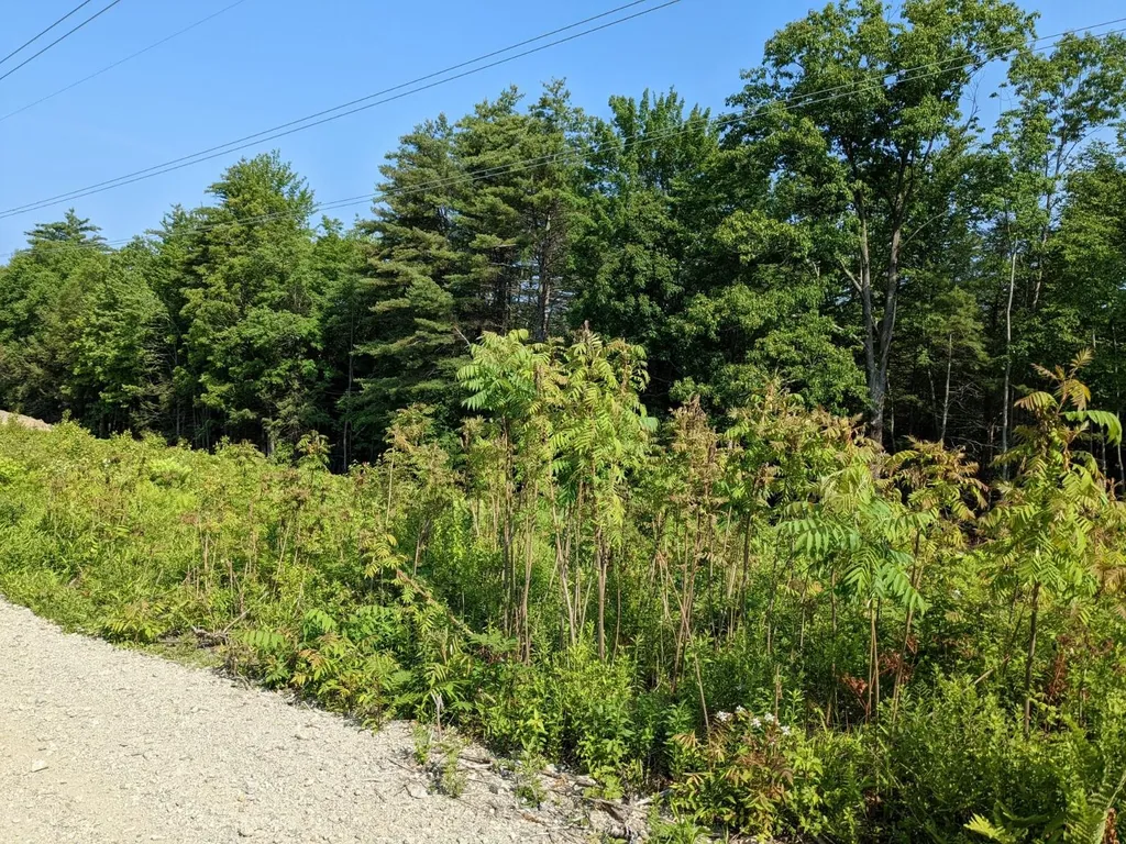 0 Purcell And Fullam Pond Road Winchester NH 03470