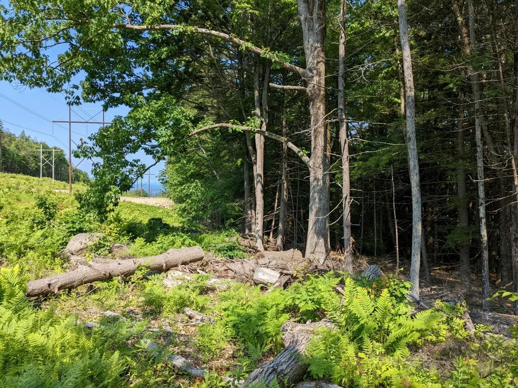 0 Purcell And Fullam Pond Road Winchester NH 03470